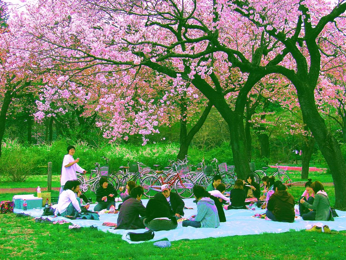 Makna dan Tradisi Seijin no Hi: Hari Kedewasaan di Jepang